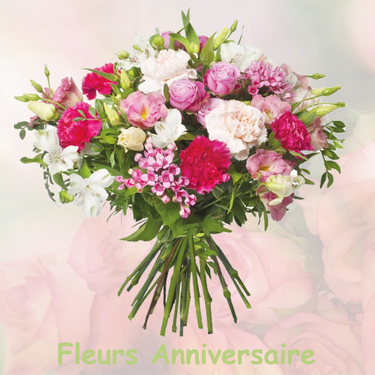 fleurs anniversaire JONQUIERES-SAINT-VINCENT